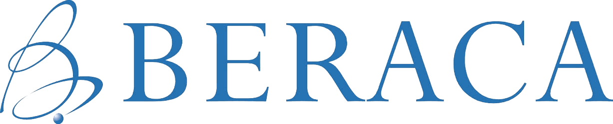 Demo Logo